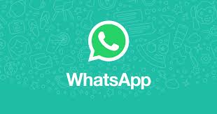 whatsapp中文官方下载-免费下载whatsapp中文版，畅享高效沟通！