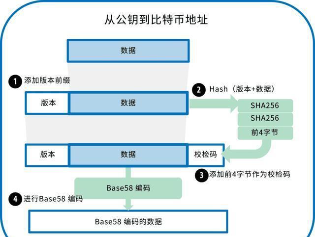 钱包公钥在哪里看_tp钱包公钥在哪里_钱包公钥和私钥的区别