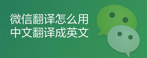 whatsapp安卓下载安装_whatsapp官方中文正版_无烦恼厨房游戏正版中文官方