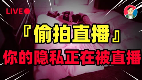 官方下载whatsapp_whatsapp官网版中文下载_whatsapp官网免费下载