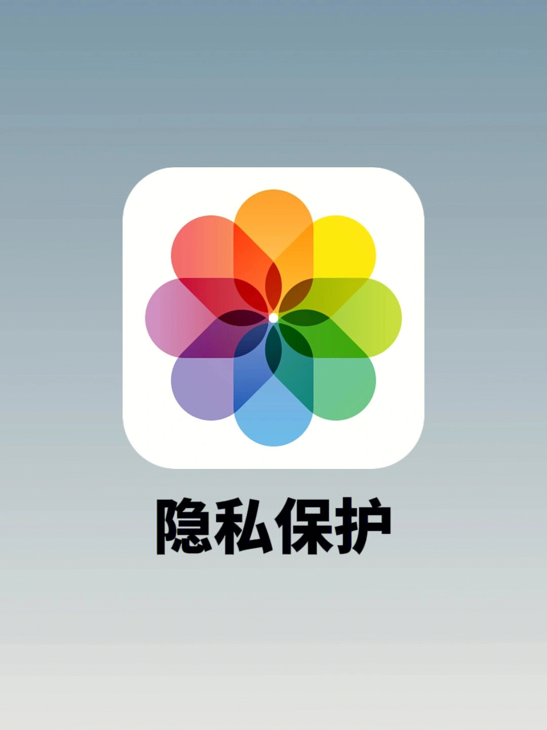 whatsapp官方最新版下载_whatsapp官方最新版下载_whatsapp官方最新版下载