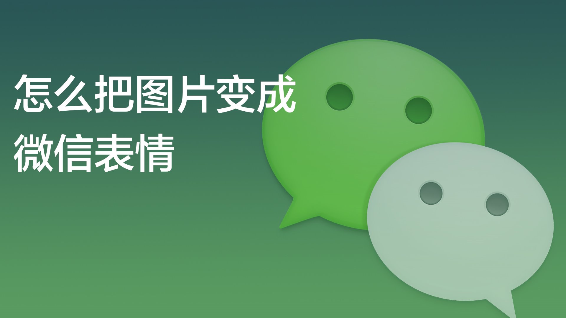 中文最新版地址在线_whatsapp中文最新版_中文最新版资源网