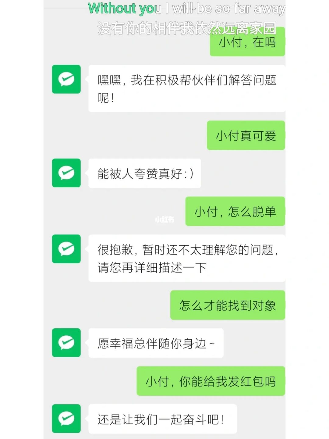 whatsapp中文最新版_中文最新版天堂8_中文最新版樱花校园模拟器下载