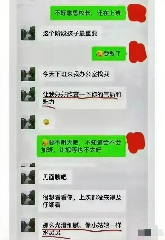官网whatsapp下载安装_whatsapp官网免费下载_whatsapp官网版中文下载