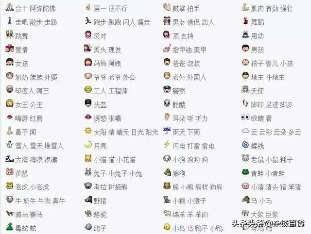 whatsapp安卓版_安卓版whatsapp下载_whatsapp安卓版