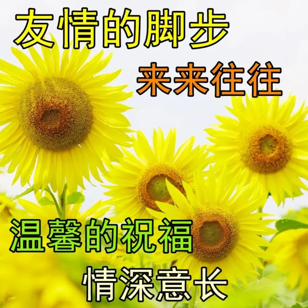 中文版手机cad制图免费下载_中文版手机电子琴_whatsapp中文手机版