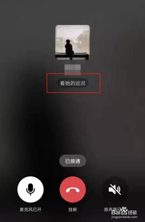 whatsapp官方app：无阻畅快通话