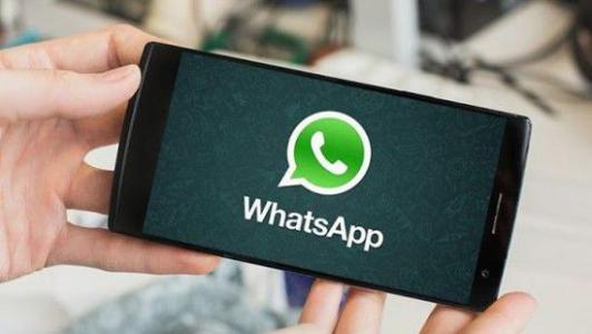 whatsapp正版下载-正版whatsapp：网络安全专家强烈推荐