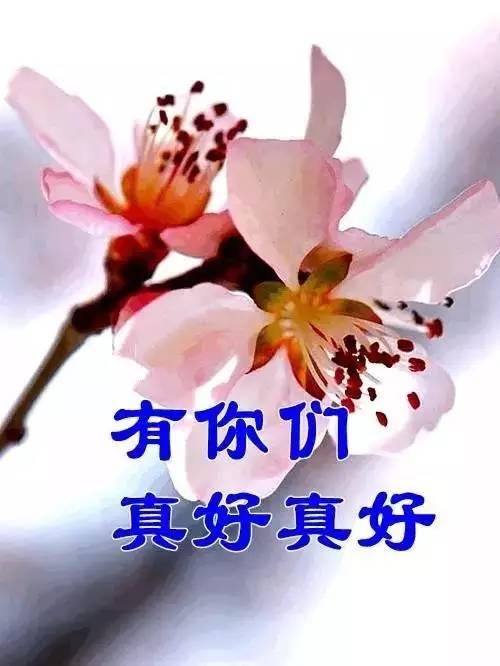 whatsapp中文手机版_中文版手机电子琴安装_中文版手机steam