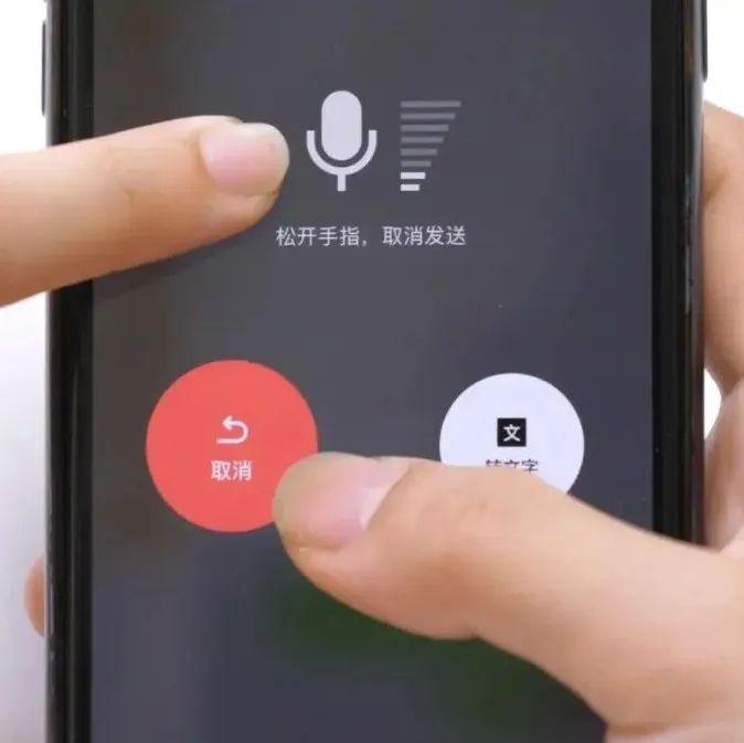 whatsapp怎么下载官网-轻松畅聊，全面功能whatsa语音视频通话