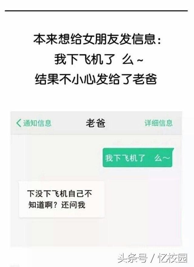官方whatsapp_官方whatsapp下载_whatsapp官方app