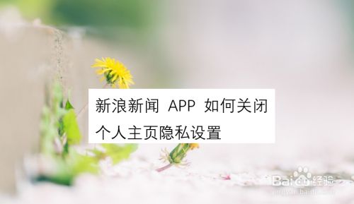 国家是怎么产生的_国家是什么_whatsapp是那国家