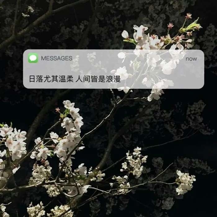 中文版手机电子琴软件下载_whatsapp中文手机版_中文版手机电子琴