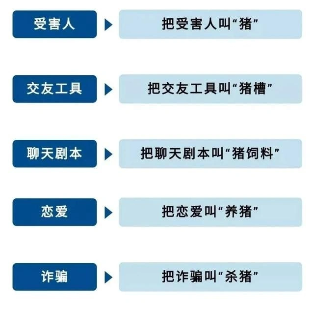 whatsapp怎么下载官网_官网下载波克捕鱼_官网下载拼多多