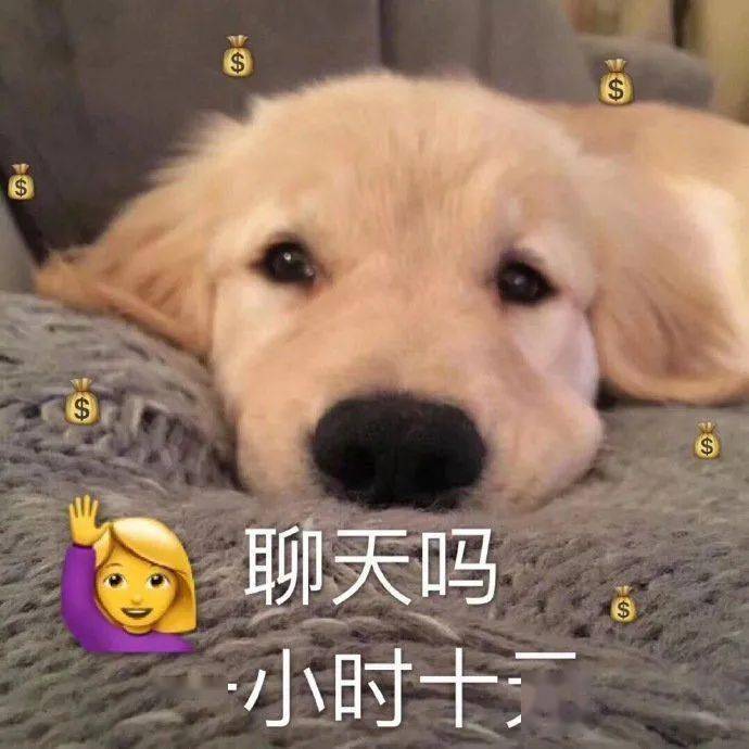 whatsapp聊天背景_whatsapp如何聊天_whatsapp聊天壁纸
