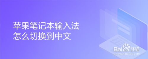 whatsapp中文手机版：神秘的面纱揭晓