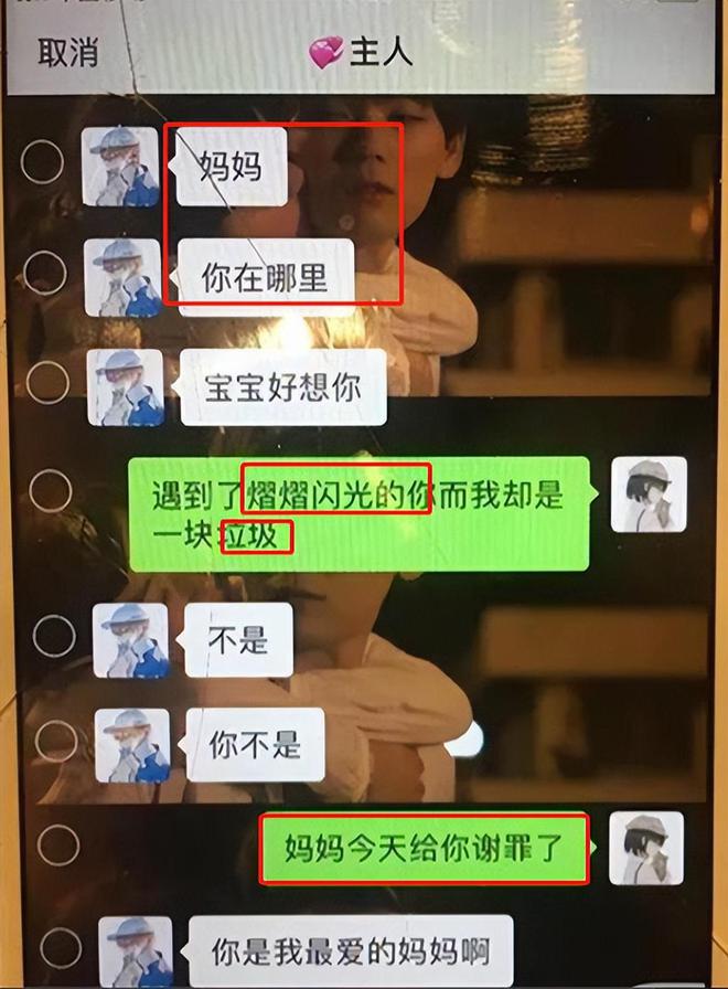 whatsapp_whatsapp如何聊天_whatsapp是什么