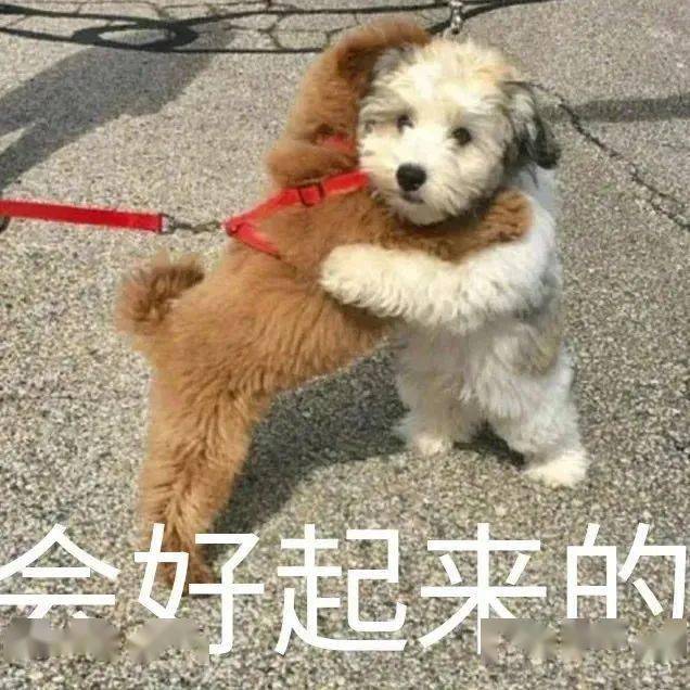 whatsapp中文手机版_中文版手机屏幕色彩调节器_中文版手机电子琴下载安装
