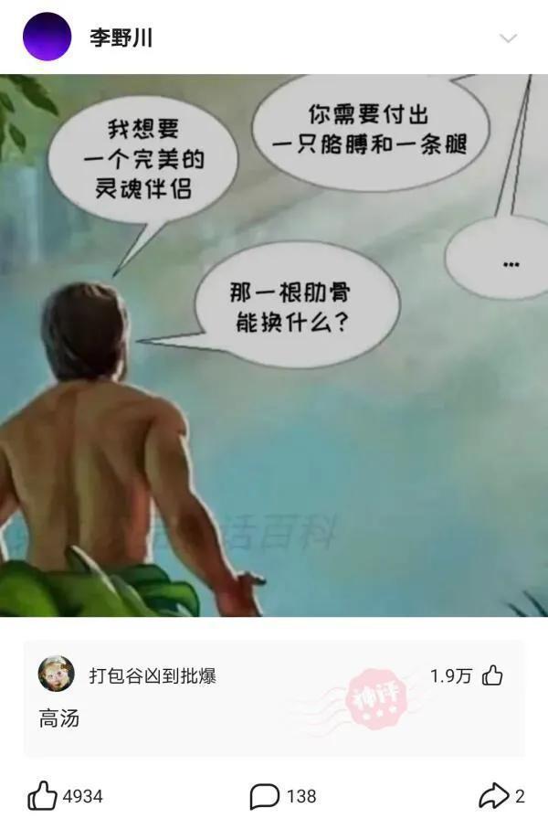 whatsapp聊天壁纸_whatsapp如何聊天_聊天软件