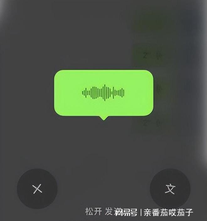 西柚属于是_whatsapp是属于什么_属于是集合与集合之间的关系吗