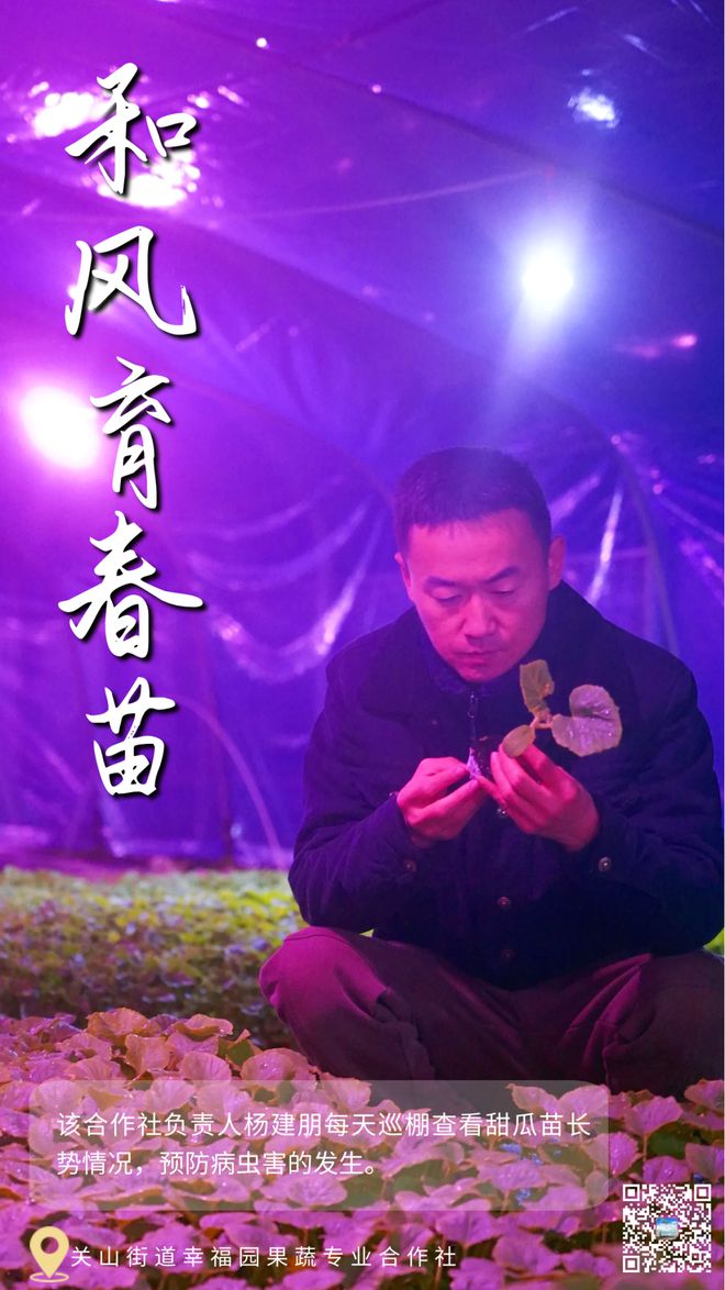 官网下载app豌豆荚_官网下载波克捕鱼_whatsapp怎么下载官网
