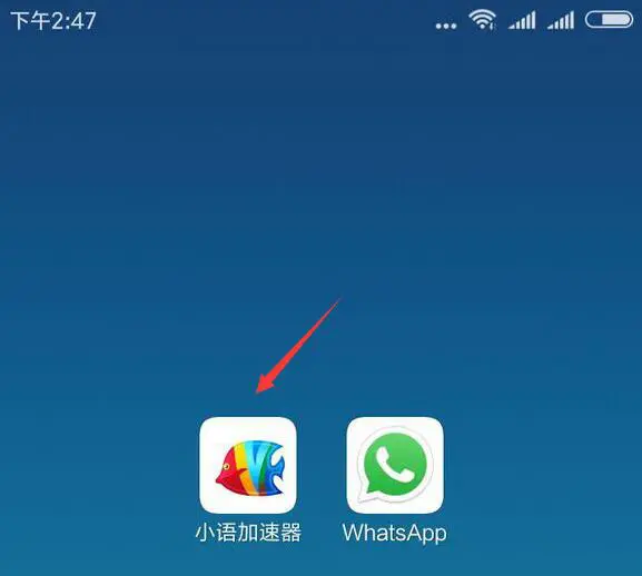 whatsapp官方中文正版-如何获取WhatsApp官方中文正版？用户必看指南及建议