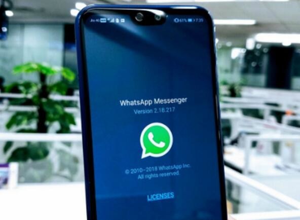 whatsapp怎么下载官网_官网下载app豌豆荚_官网下载波克捕鱼