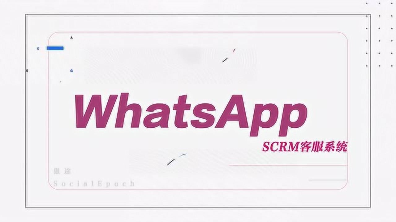 西柚属于是_whatsapp是属于什么_whatsapp是什么的缩写