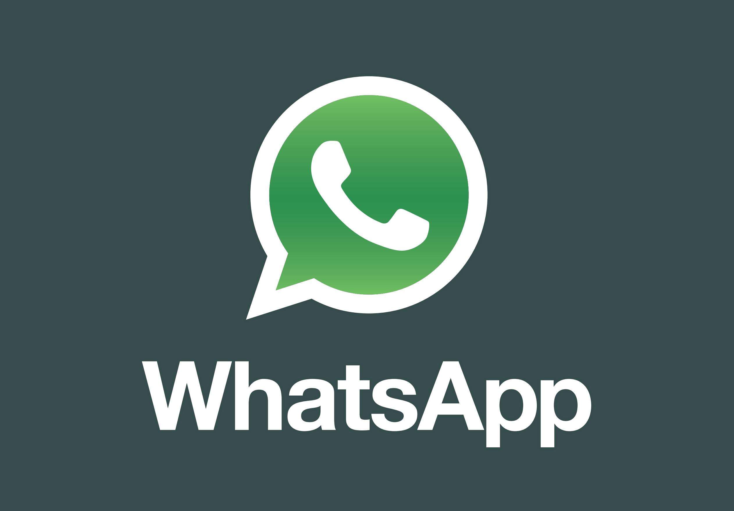 官网下载豌豆荚_官网下载app豌豆荚_whatsapp怎么下载官网