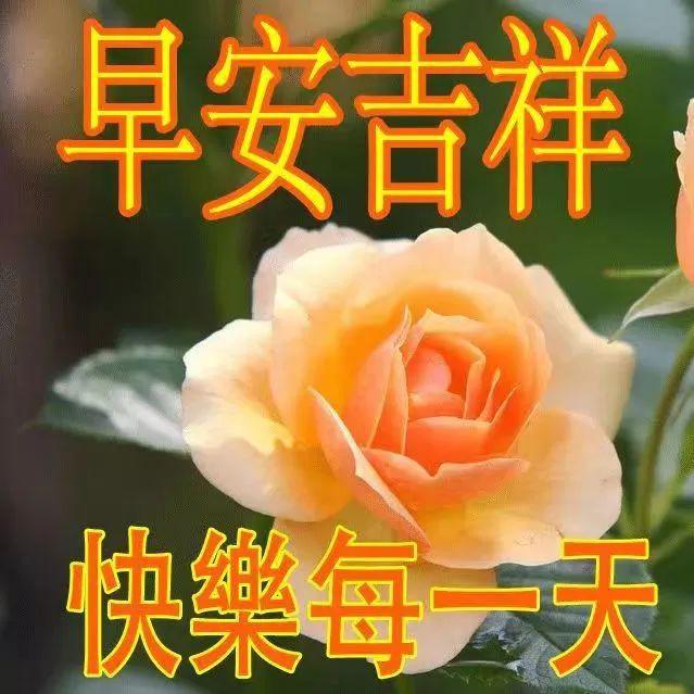 whatsapp如何聊天_聊天软件_whatsapp聊天背景