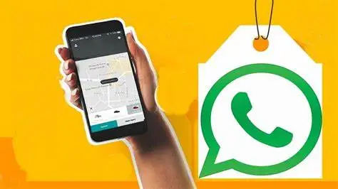 whatsapp中文手机版_中文版手机电子琴软件下载_中文版手机电子琴软件