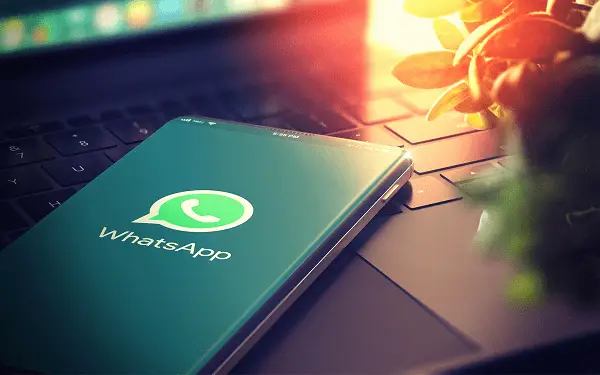 官网下载豌豆荚_官网下载波克捕鱼_whatsapp官网下载