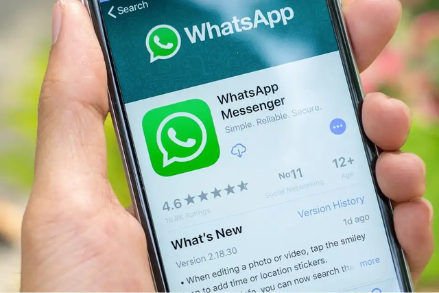 whatsapp正版下载_正版下载怪兽大乱斗_正版下载鹿未来篇无广告