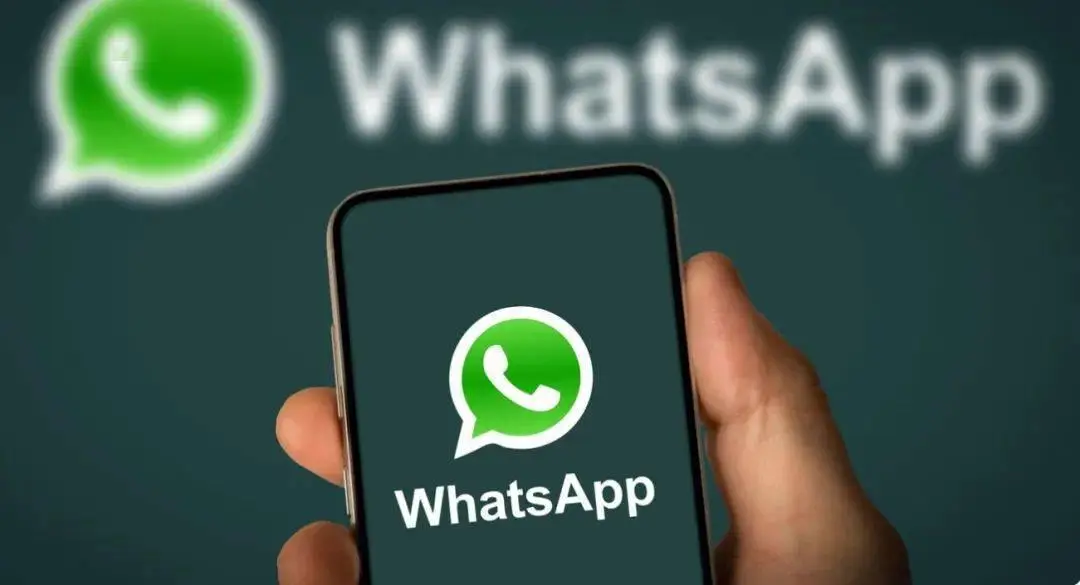 最新版whatsapp安卓版_最新版whatsapp官网_whatsapp最新版