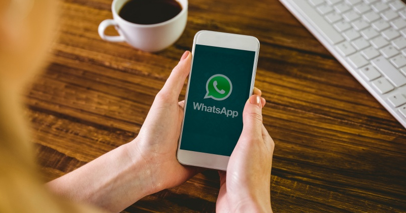 建制派whatsapp_whatsapp怎么创建？_创建AppleID账号