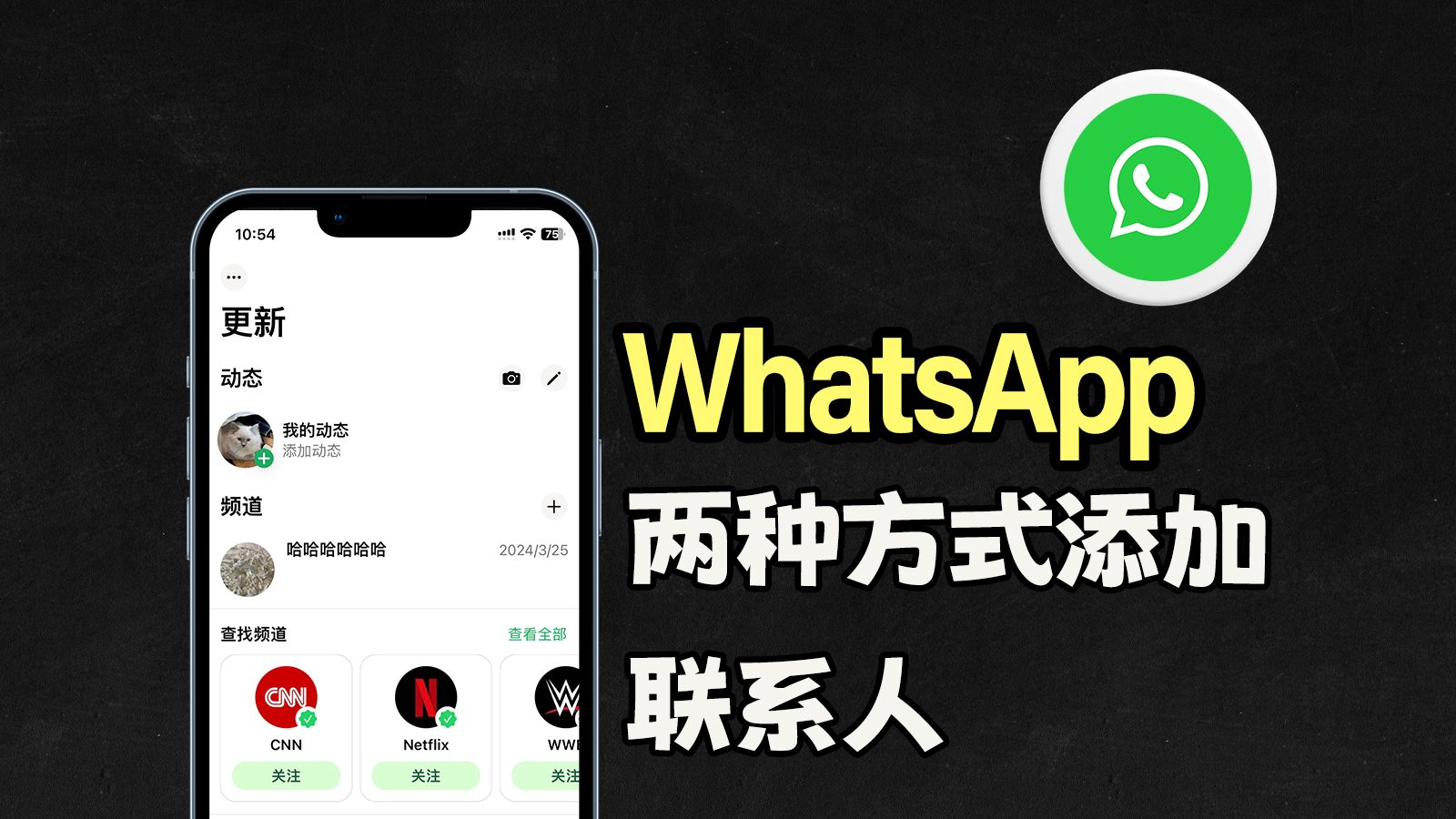 whatsapp_whatsapp是什么_whatsapp如何聊天