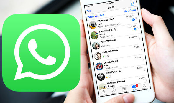 whatsapp如何聊天-WhatsApp 聊天技巧：让你在即时通讯中如鱼得水