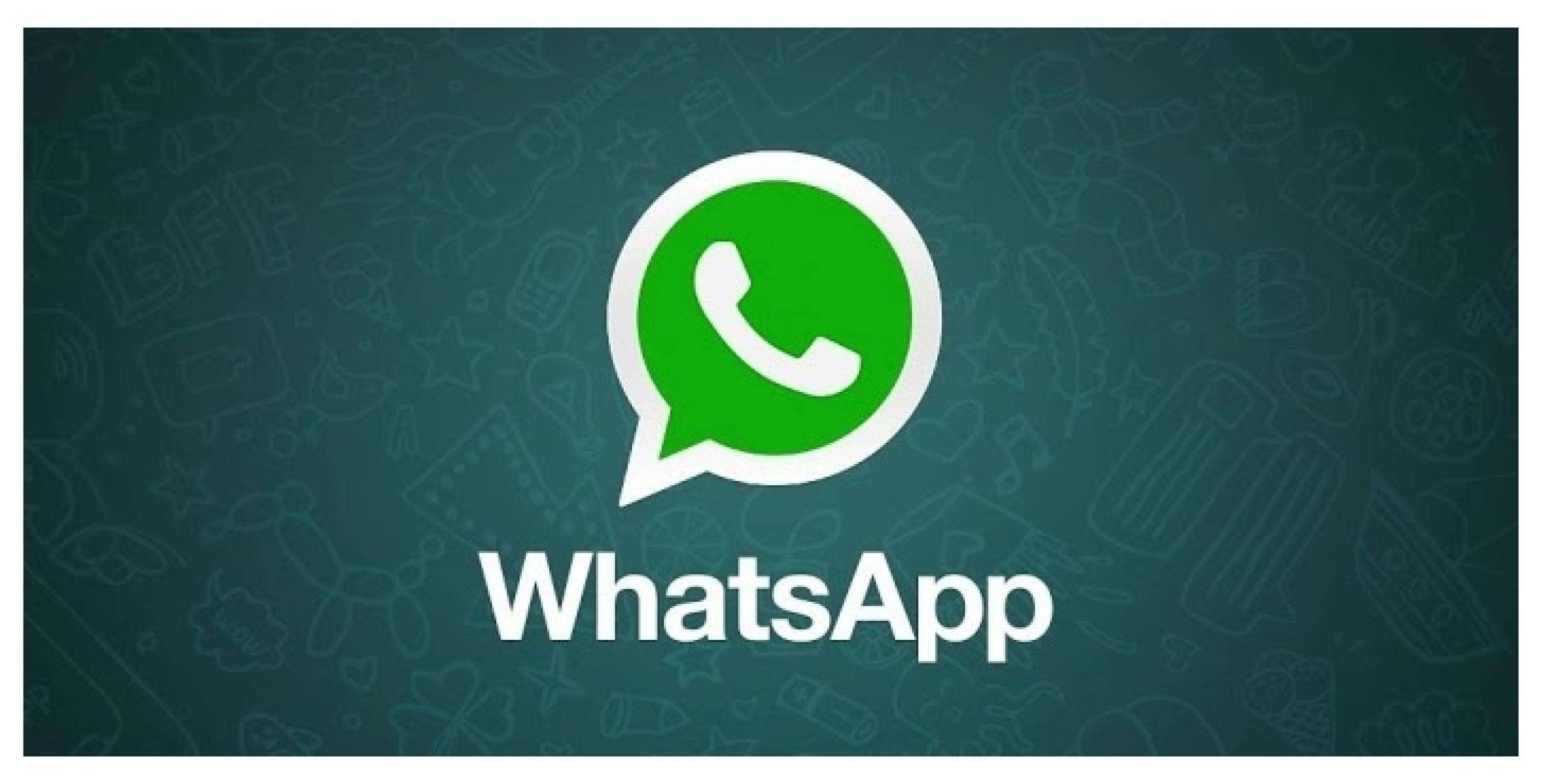 whatsapp中文最新版_中文最新版本_中文最新版樱花校园模拟器下载