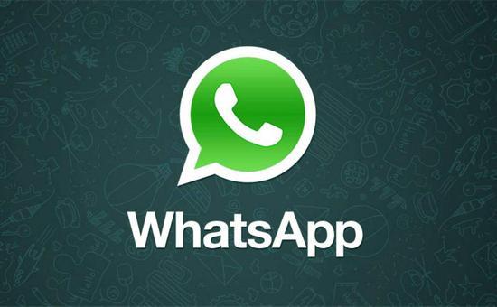 whatsapp正版下载_正版下载鹿未来篇无广告_正版下载233乐园