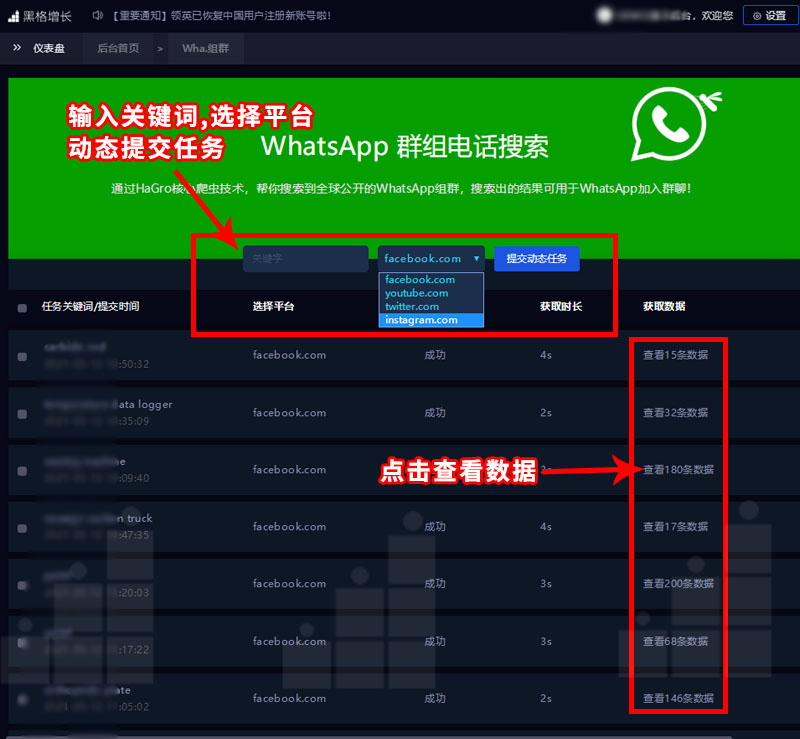 whatsapp如何聊天-WhatsApp 聊天：现代人的社交利器，随时随地畅聊，分享生活点滴