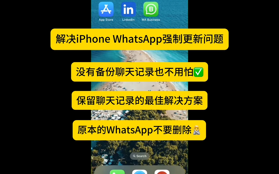 whatsapp官方最新版下载-WhatsApp 最新版更新，界面清爽、功能强大，快来下载体验