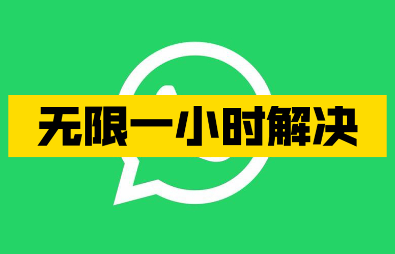 whatsapp官方app-WhatsApp 官方 App：简洁界面、快速传递、安全加密，让你与世界紧密相连