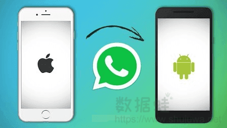 whatsapp怎么视频通话_whatsapp怎么视频通话_whatsapp怎么视频通话