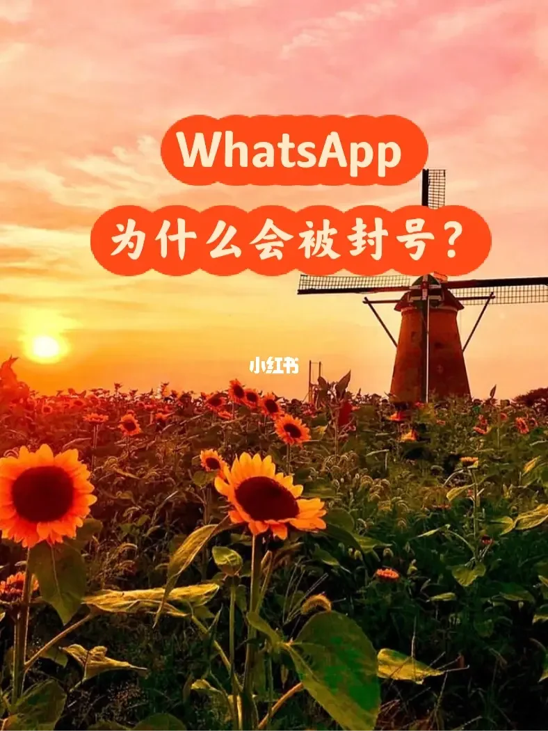 官方版手机正宗风水罗盘_官方版手机降温神器_whatsapp官方手机版