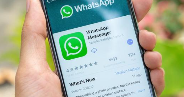whatsapp国内正版下载_whatsapp官方中文正版_whatsapp中文官网下载