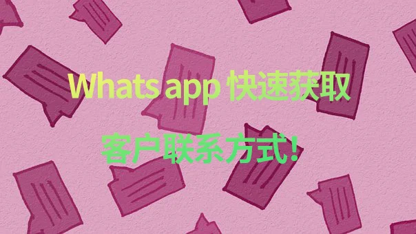 whatsapp使用要翻墙吗_建制派whatsapp_whatsapp怎么使用？