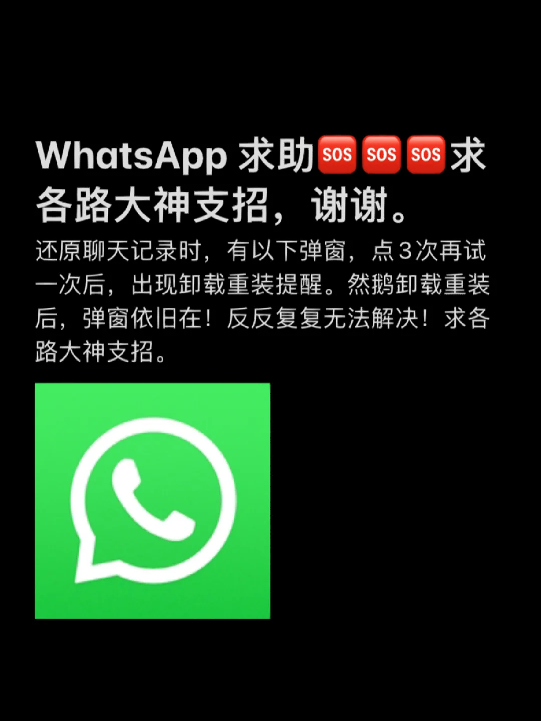 whatsapp怎么视频通话-WhatsApp 视频通话功能：让你随时随地与朋友面对面聊天