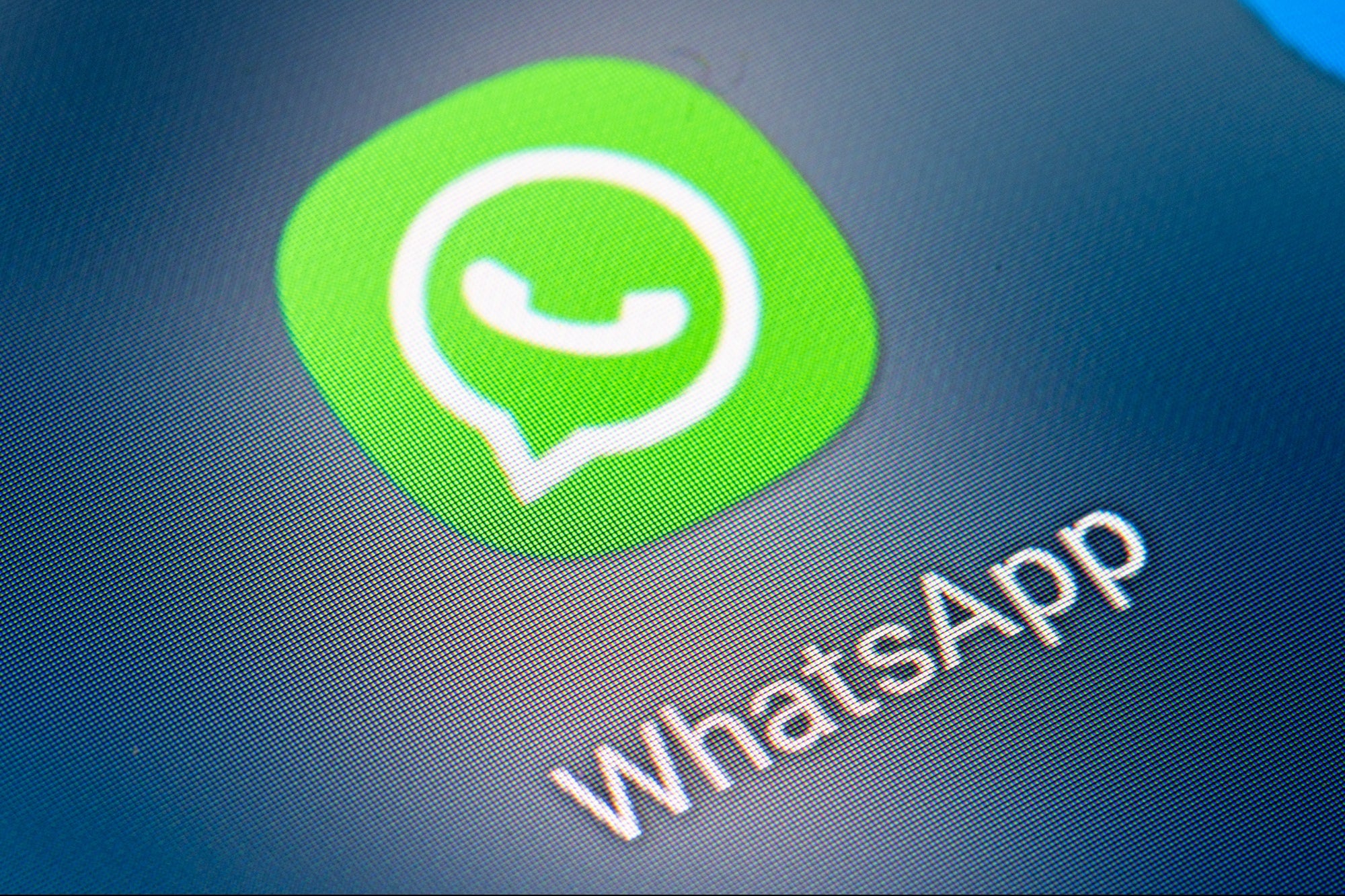正版下载我的世界_正版下载233乐园_whatsapp正版下载