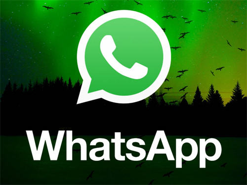 whatsapp官网版中文下载_官网whatsapp下载安装_whatsapp官网免费下载