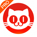 猫眼专业版安卓版 猫眼专业版安卓版